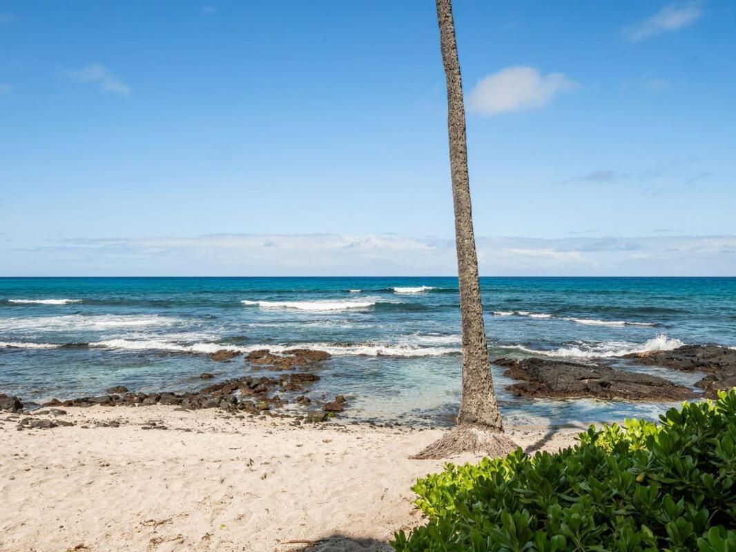 Oceanfront 1 Bedroom 2 Bathroom With Large Lanai - Kona Bali Kai 218 ไคลัวโคนา ภายนอก รูปภาพ